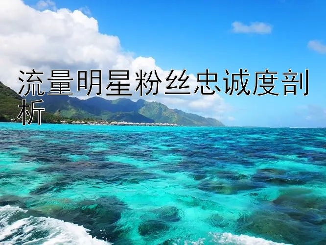 流量明星粉丝忠诚度剖析