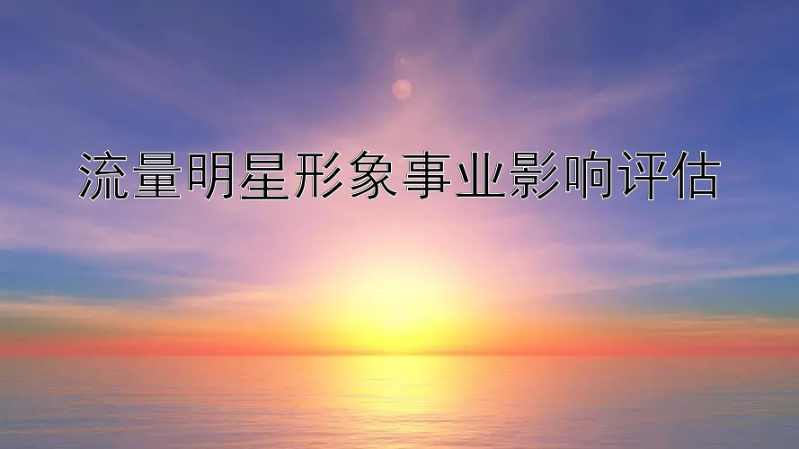 流量明星形象事业影响评估