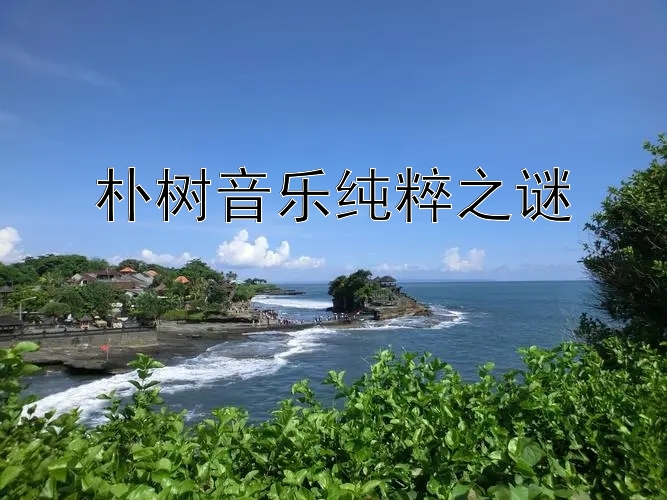 朴树音乐纯粹之谜